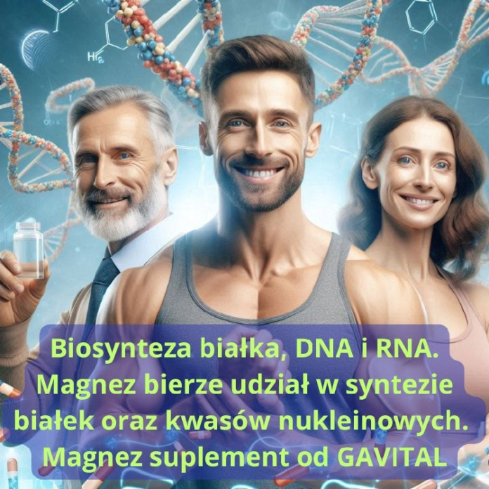 Biosynteza białka DNA i RNA puromedica gavital magnez płynny